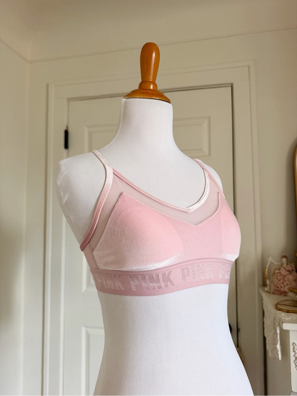 Pink and Blue Velvet Sports Bras Bundle